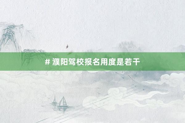 # 濮阳驾校报名用度是若干